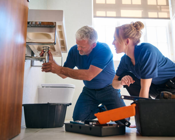 Best Commercial Plumbing Services  in Beulah, ND